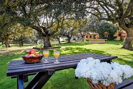 Zona de picnic